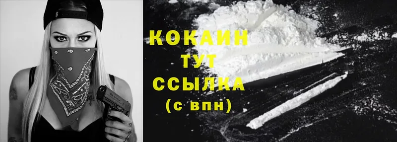 ссылка на мегу как войти  Иркутск  Cocaine 98%  где найти  